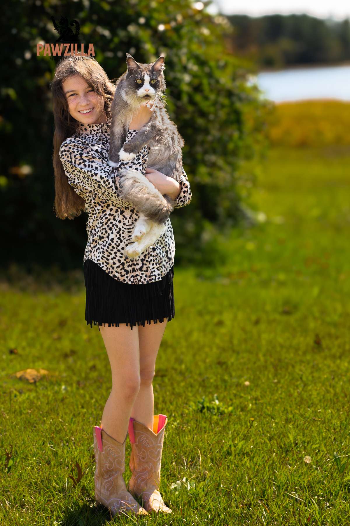 Celeste, Cyndi’s granddaughter, holding Sushi, a black and white smoke bicolor Maine Coon queen from Pawzilla Maine Coons, outdoors on a sunny day.