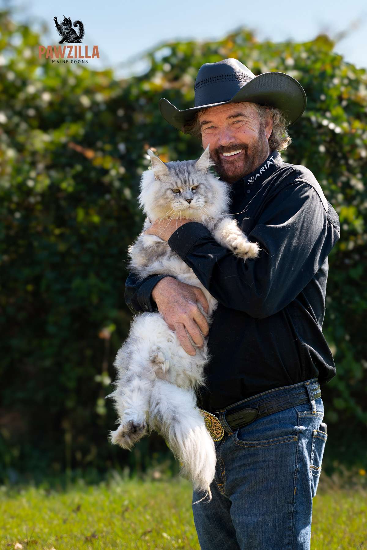 John holding Yeti, a massive silver tabby Maine Coon king from Pawzilla Maine Coons in North Carolina.