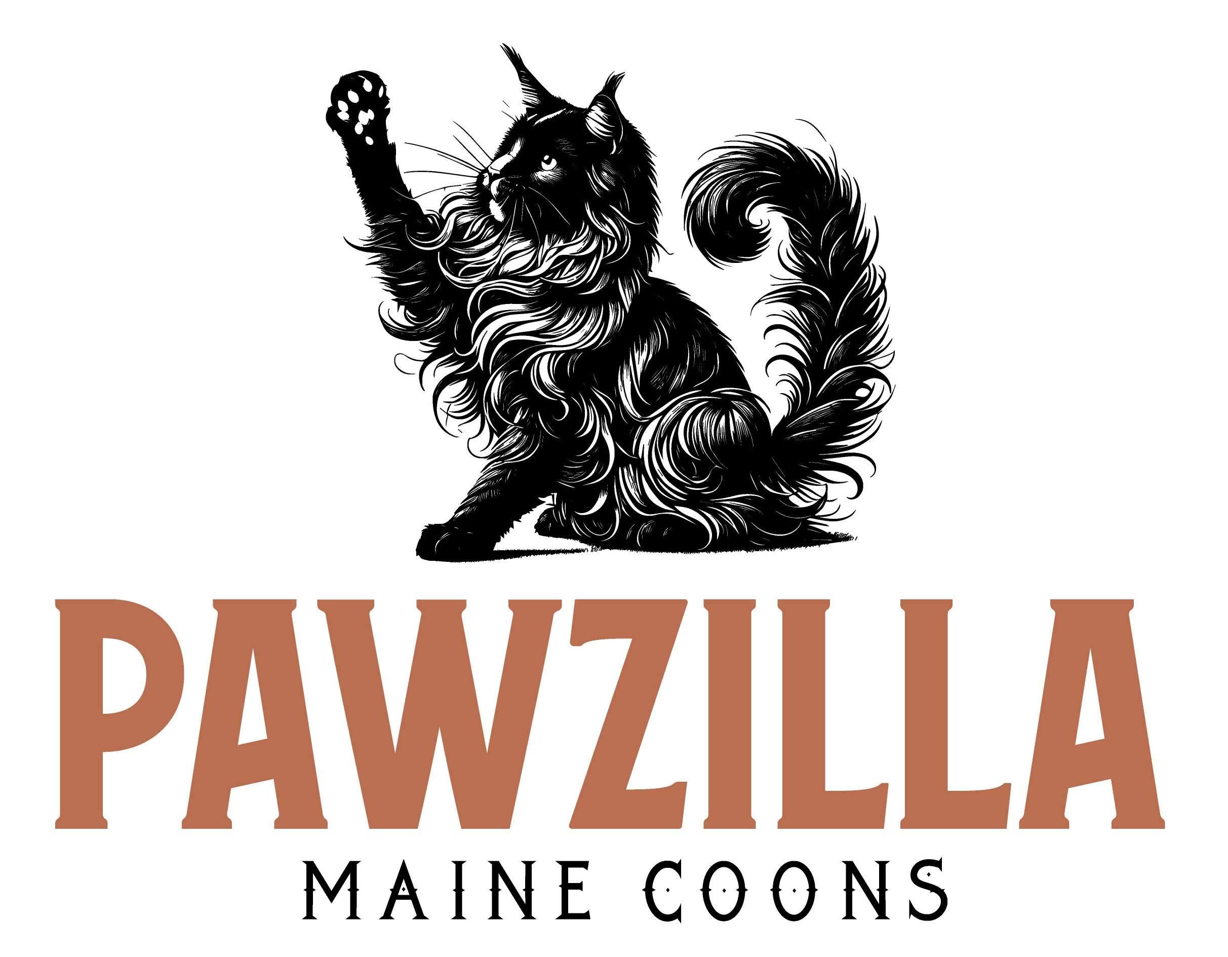 Pawzilla Maine Coons