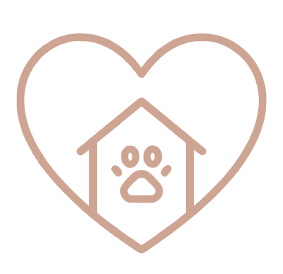 Heart-shaped home icon representing caring for your kitten after arriving home.