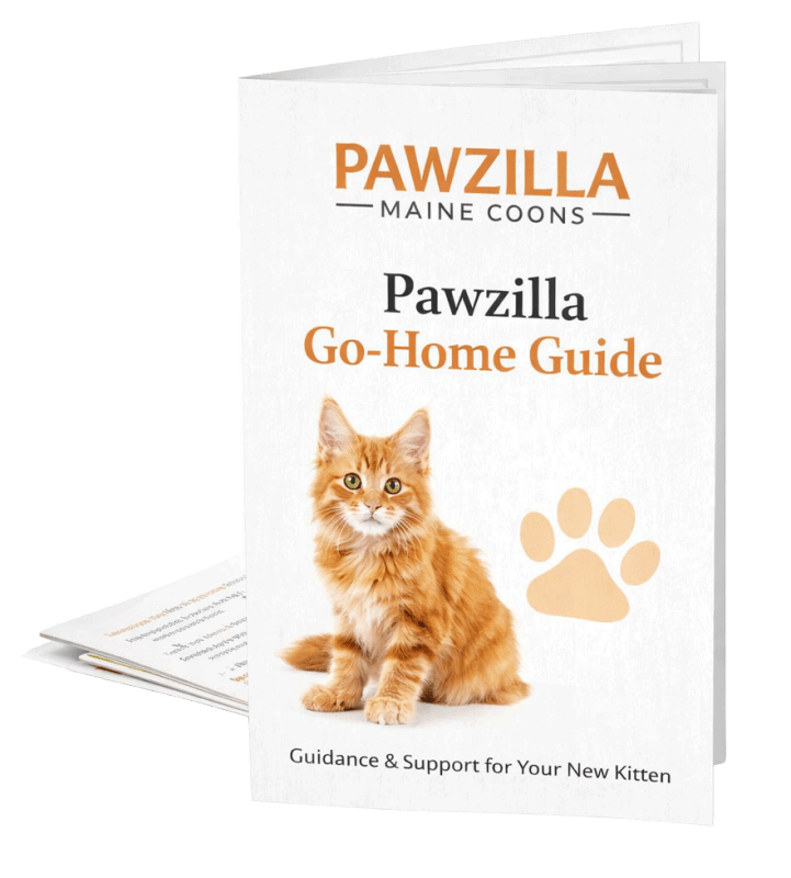 Pawzilla Maine Coons Go-Home Guide designed to support new kitten owners with care and transition information