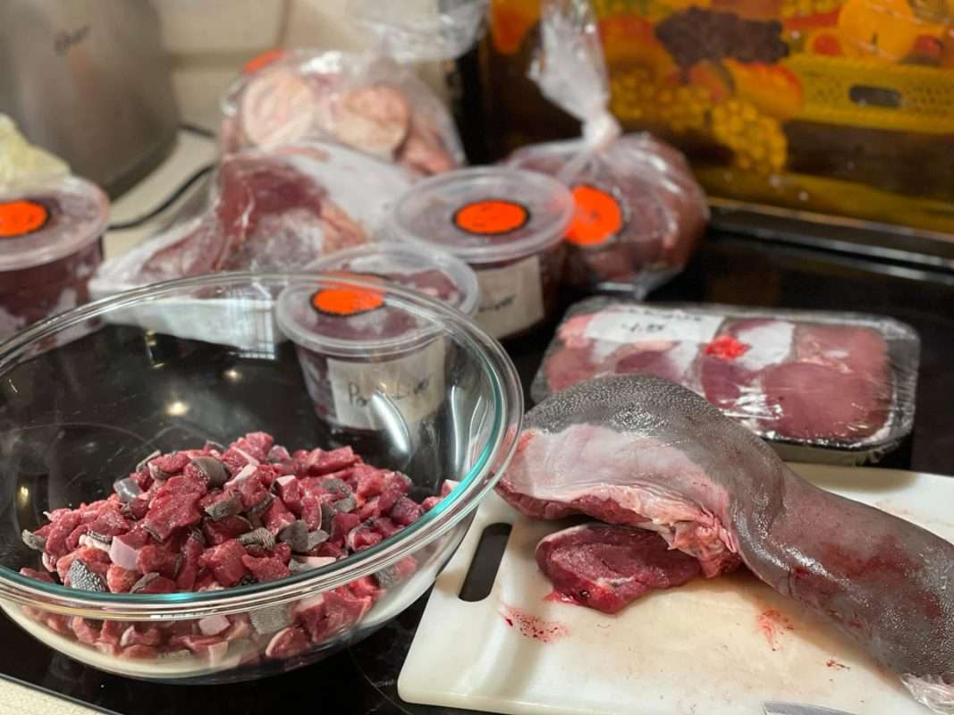 Homemade raw cat food prepared with carefully selected proteins and ingredients for a balanced feline diet